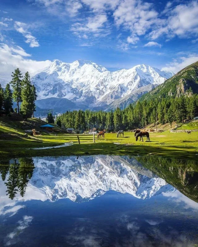 fairy meadows honeymoon tour vacations holiday destination